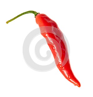 One red chili pepper isolated white background. Close-up