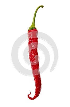 One red chili pepper isolated white background. Close-up