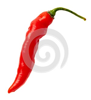 One red chili pepper isolated white background. Close-up