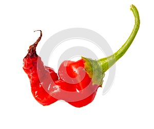 One red chili pepper isolated white background. Close-up