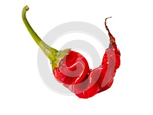 One red chili pepper isolated white background. Close-up