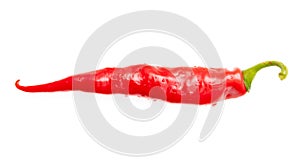 One red chili pepper isolated white background. Close-up