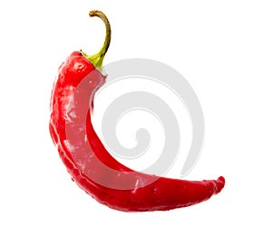 One red chili pepper isolated white background. Close-up