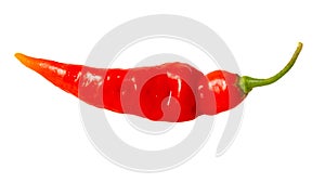 One red chili pepper isolated white background. Close-up