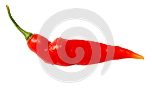 One red chili pepper isolated white background. Close-up