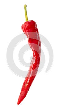 One red chili pepper isolated white background. Close-up