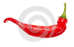 One red chili pepper isolated white background. Close-up