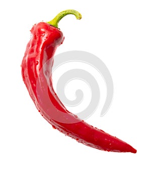 One red chili pepper isolated white background. Close-up