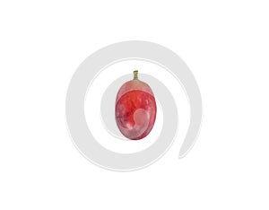 One red grape isolated on white background with clipping path