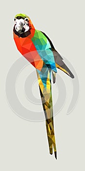 One red Macaw with green and blue wings low polygon isolated on white background, colorful parrot bird modern geometric icon