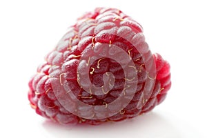 One red macro raspberry over white background