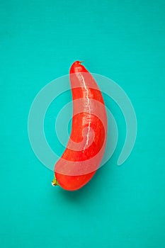 One red pepper on the turquois background