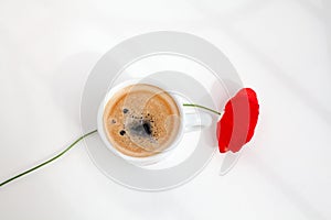 One red poppy flower on white table background with sun light and shadows close up top view in morning sunlight