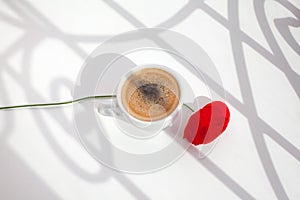 One red poppy flower on white table background with sun light and shadows close up top view in morning sunlight