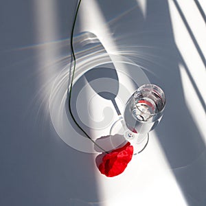 One red poppy flower on white table with contrast sun light and shadows and wine glass with water top view close up