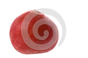 One Red Radish, on White