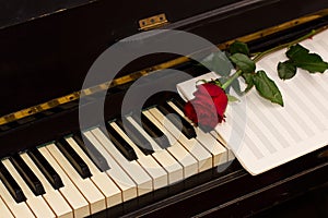 One red rose with notes paper on piano