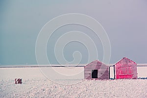 One Red Shed