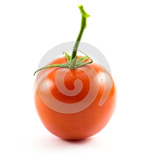 One red small cherry tomato on a white background