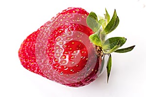 One red strawberry on a white isolated background