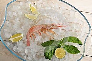 One red tiger shrimp with lime on ice