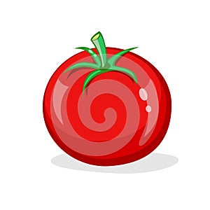 One red tomato on white background. Fresh glossy vegetable. Vector cartoon illustration