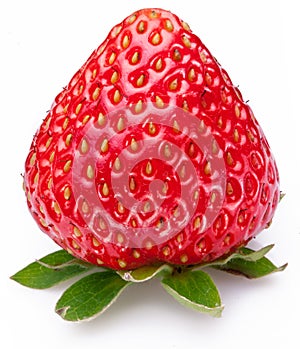 One rich strawberry fruit isolated on a white.