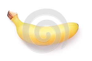 One ripe baby banana isolated