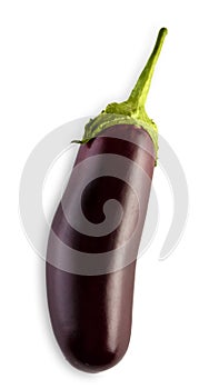 One ripe fresh eggplant isolated on white background