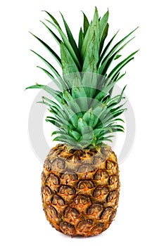 One ripe pineapple