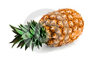 One ripe pineapple isolated on white background