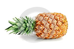 One ripe pineapple on white background