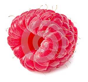 one ripe raspberry isolated on white background macro