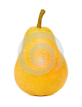 One ripe yellow pear (isolated)