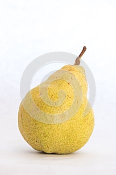 One ripe yellow skin pear slightly imperfect fresh organic beautiful studio shot Bartlett pear with stem, vertical