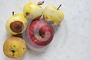 One rooten yellow apple on a wooden table