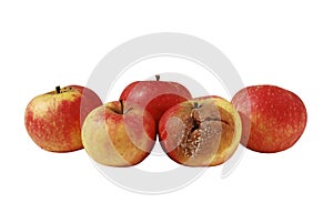 One rotten apple in bunch of four