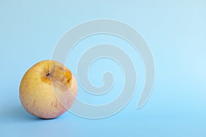 One rotten, bruised, stale or bad apple isolated in blue background. Food waste and poor agricultural crop quality concept.