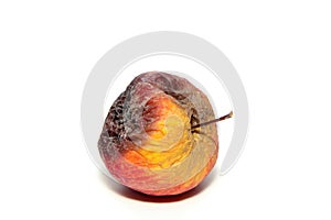 One rotten and uneatable apple.