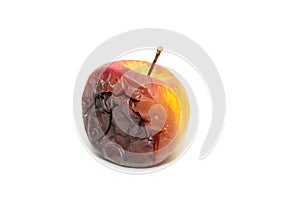 One rotten and uneatable apple.