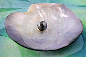 One Round Tahitian Black Pearl photo