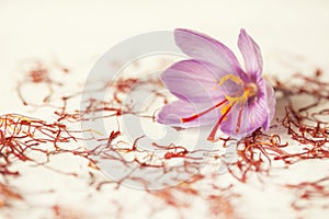 One saffron flower and a lot of drying saffron types