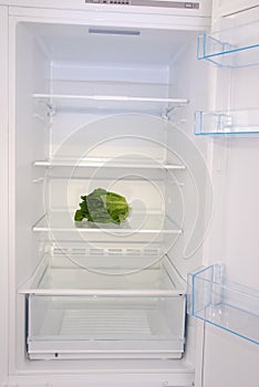 One salad in open empty refrigerator.