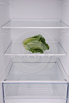 One salad in open empty refrigerator.