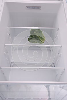 One salad in open empty refrigerator.