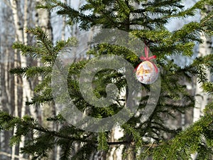 One sharp christmas ball on the fir-tree.