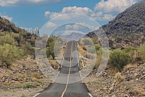 On one side is the ocean, generally the Gobi and giant cactus.Baja California