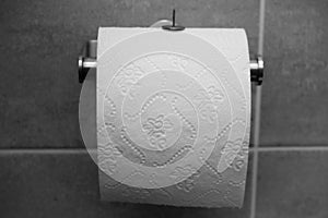 One silver big thumbtack or drawing-pin on toilet paper