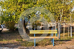 One single bench chair seat in park under tree in autumn with yellow leaves of branches and leaves on ground. Beautiful