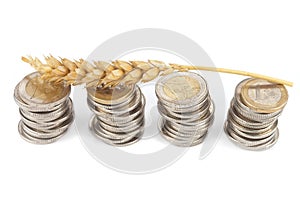 One single corn stalk lies on Euro coins